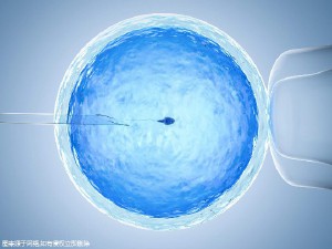 关于 供卵试管选性别代生咨询